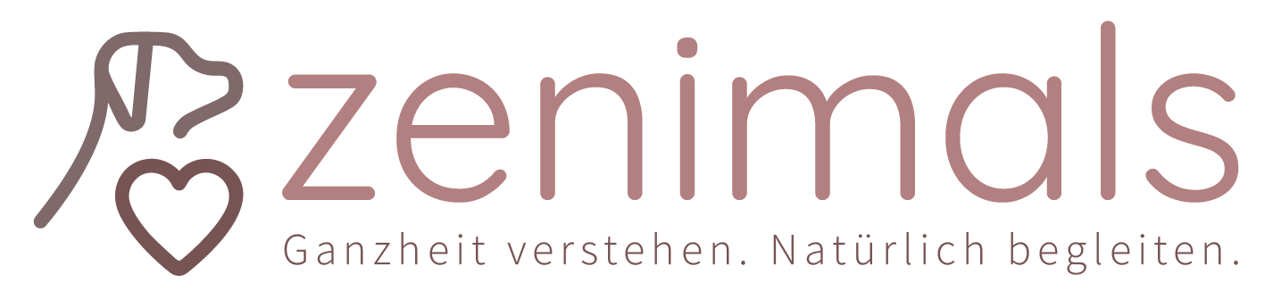 Alter Hund: ZENiMALS dein Begleiter