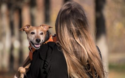 Impfungen beim Hund